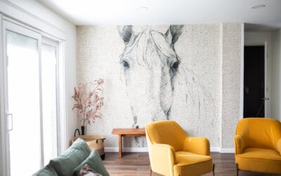Harmony House Stunning Airbnb in Arvada